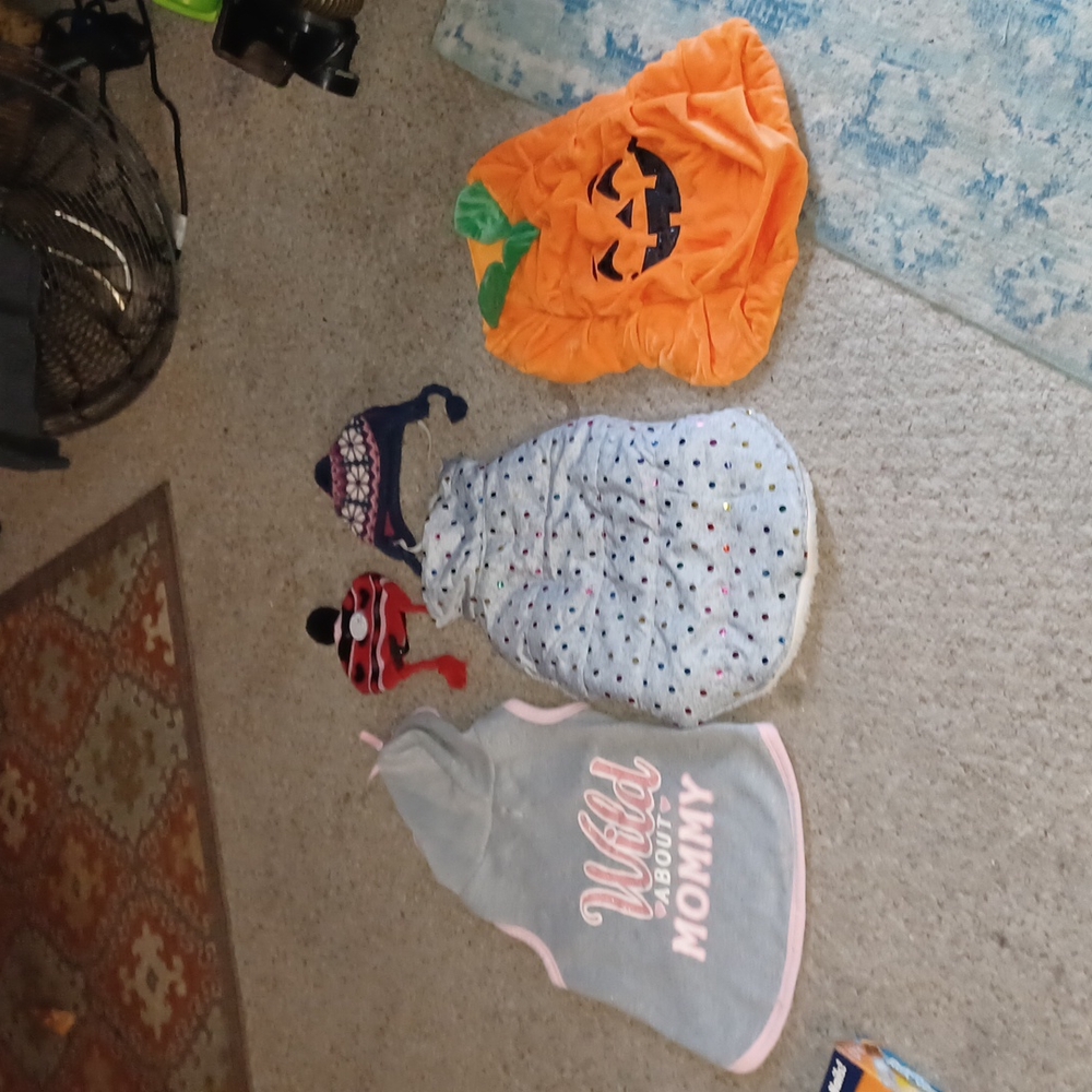 PET SUPPLIES FOR DOGS/CATS - Picture 11 of 13